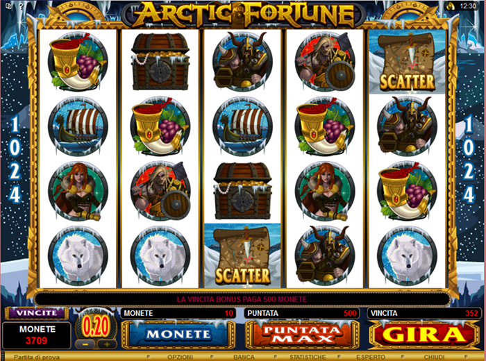 arctic fortune